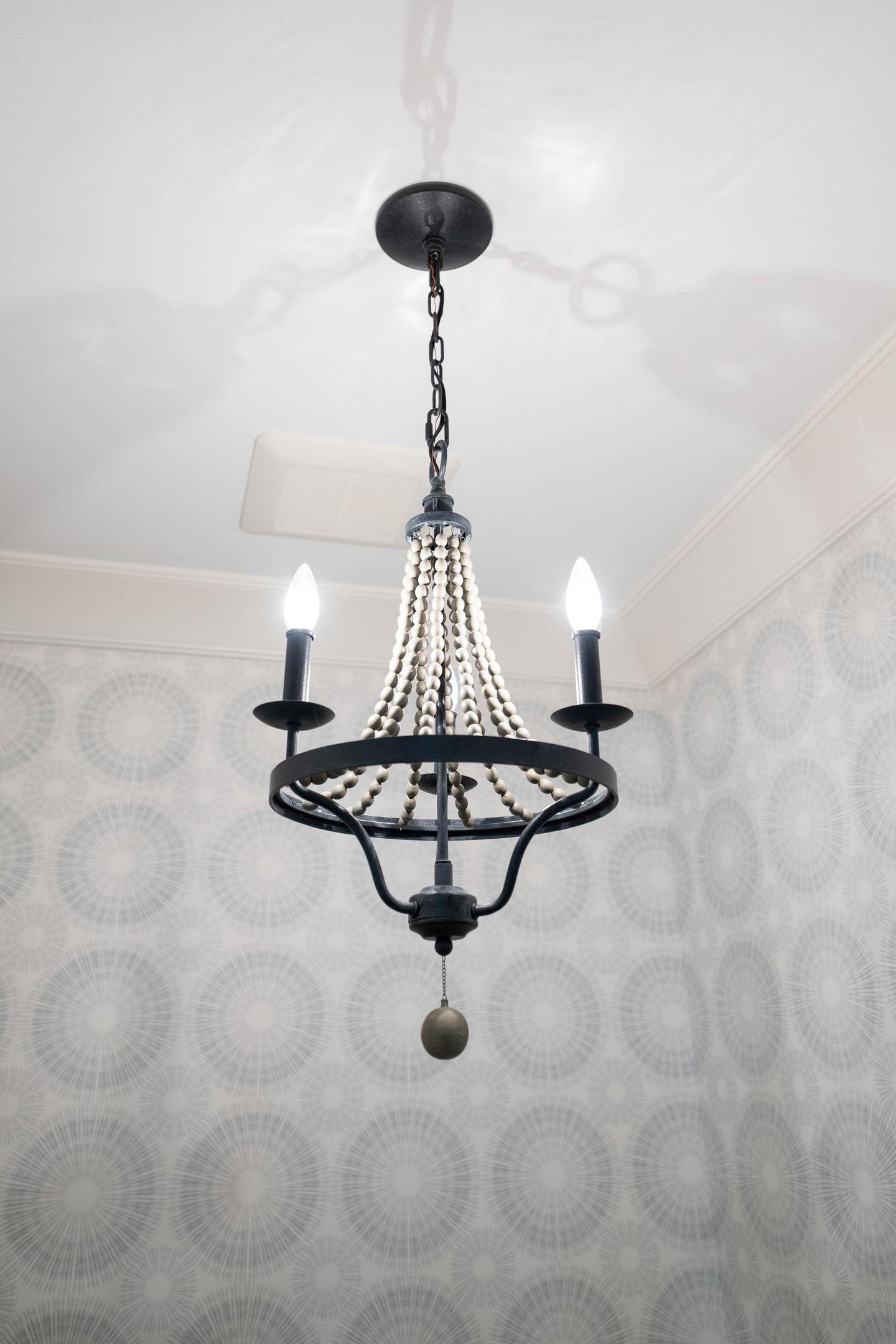 Fincastle Farms - Photo 41