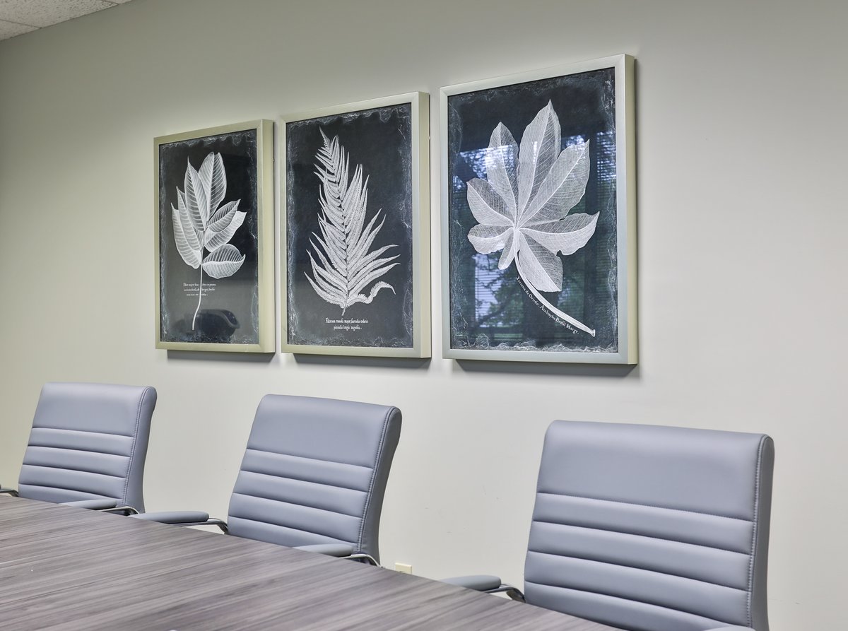 Limestone Title - Photo 2