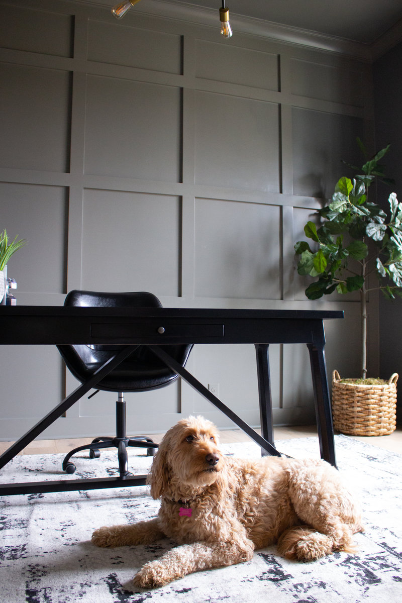 Long Grove Way 2 - Photo 12