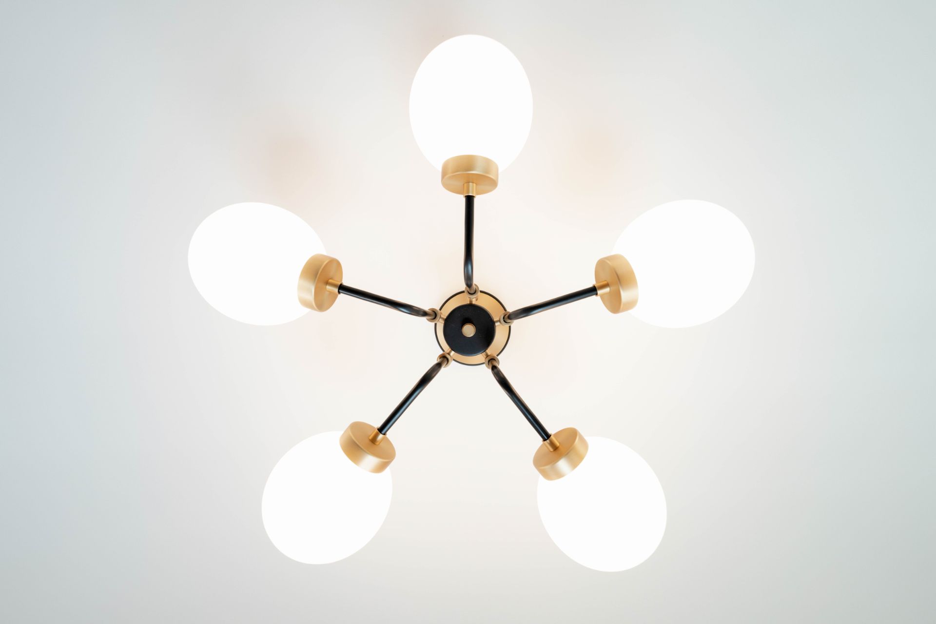 Homerama 2021 - Photo 44