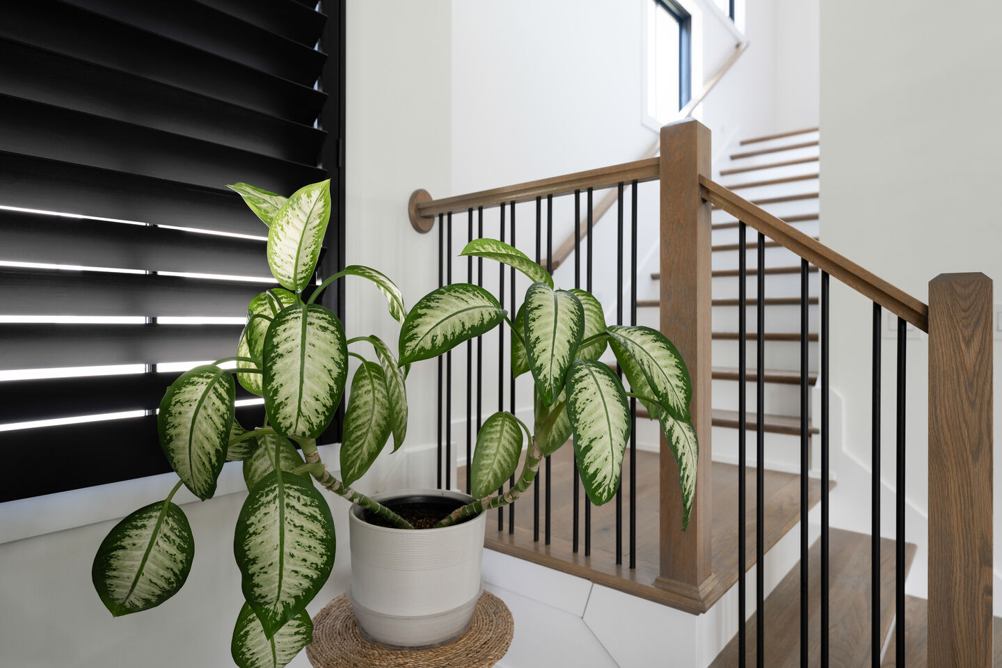 Spring Beauty Lane - Photo 41