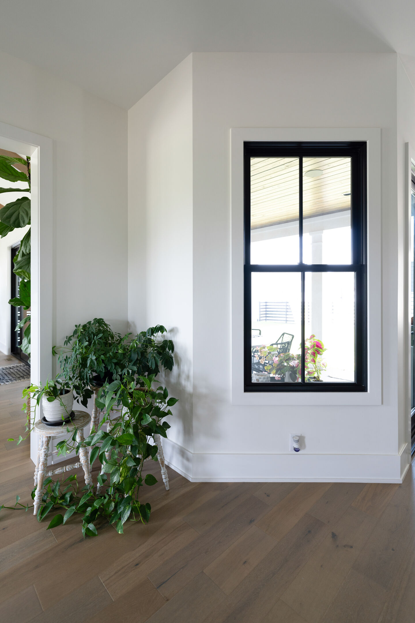 Spring Beauty Lane - Photo 42