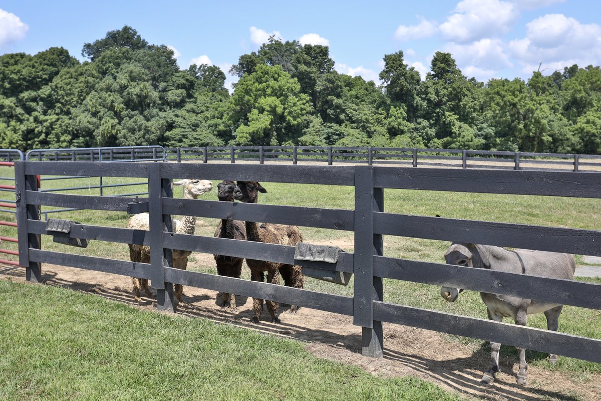 The Farmhouse - Photo 86